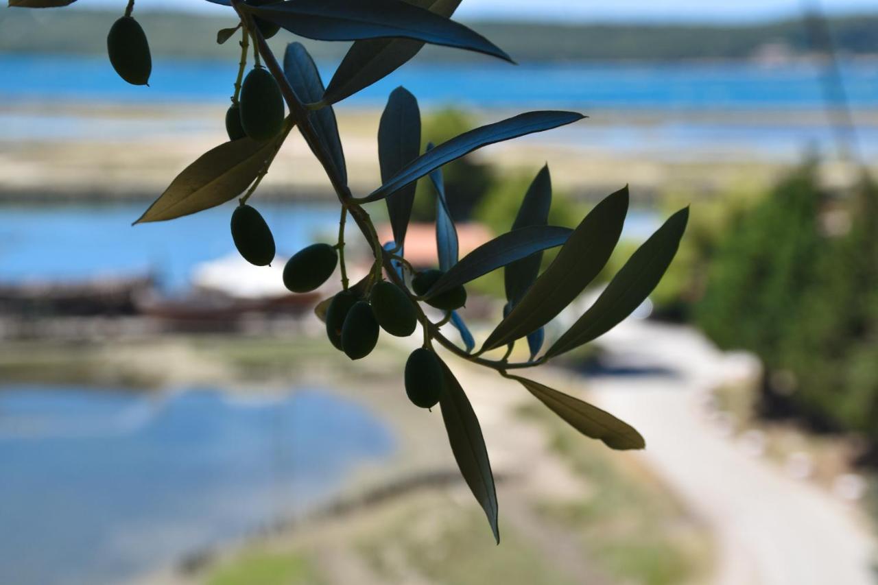 Olive Garden & Sea Apartments Portorož Kültér fotó