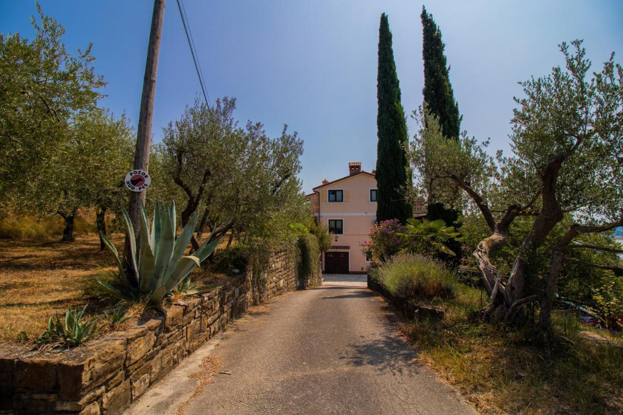 Olive Garden & Sea Apartments Portorož Kültér fotó